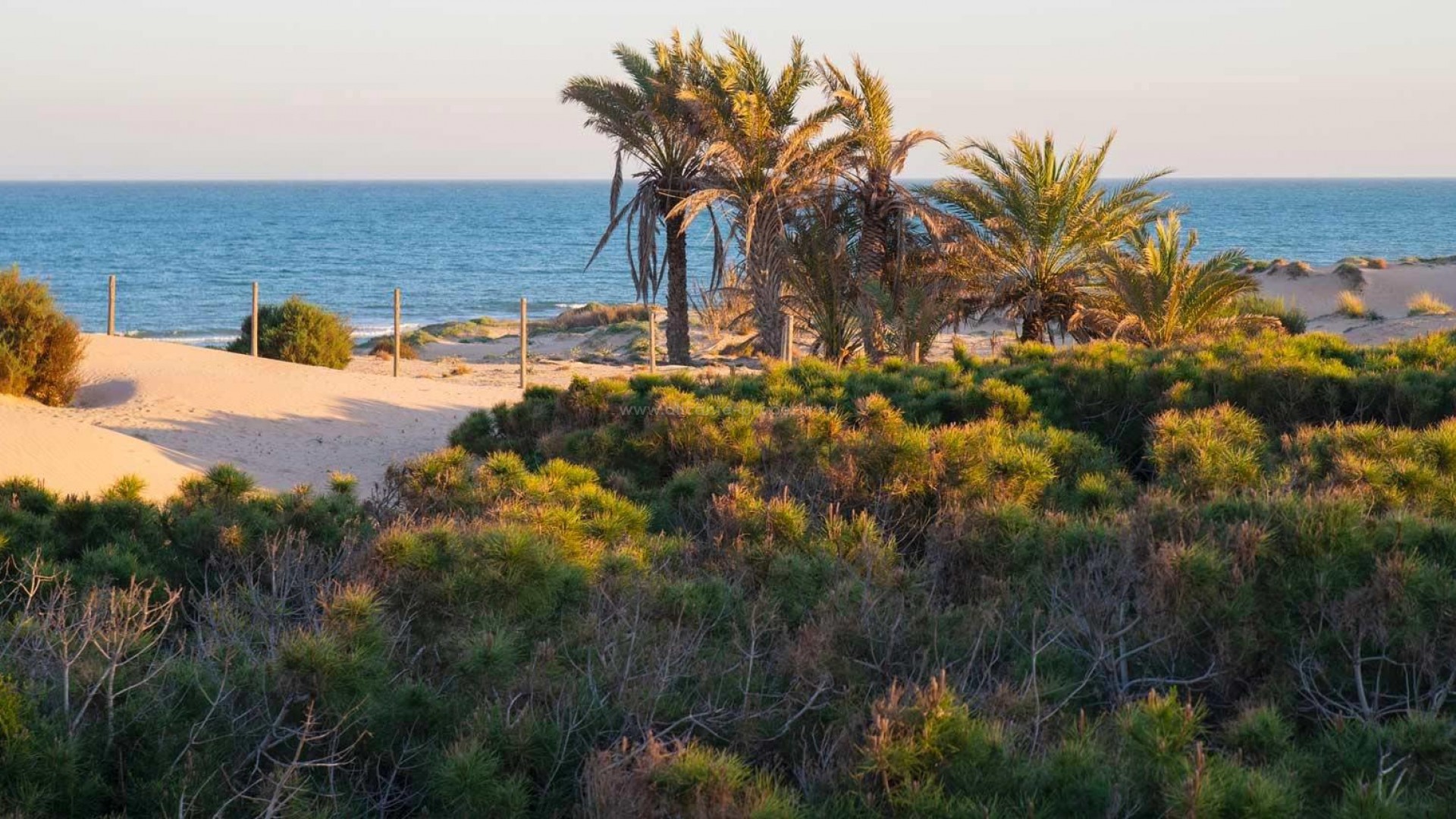 Apartment / flat in Avda del Puerto