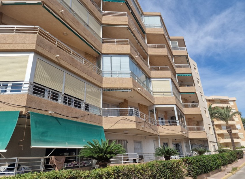 Apartment / flat in Beach Guardamar