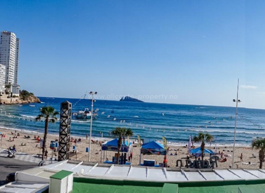 Apartment / flat in Benidorm Centro