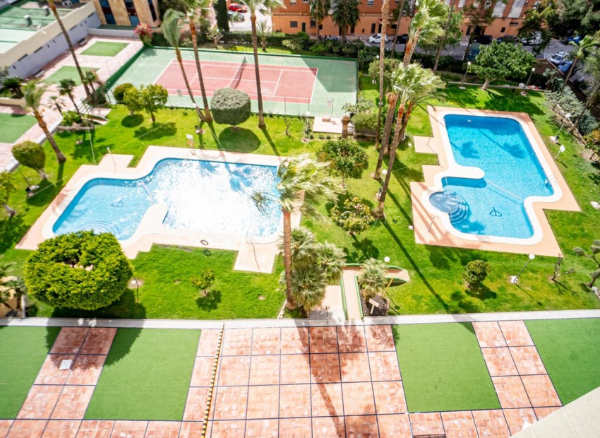 Apartment / flat in Benidorm Centro