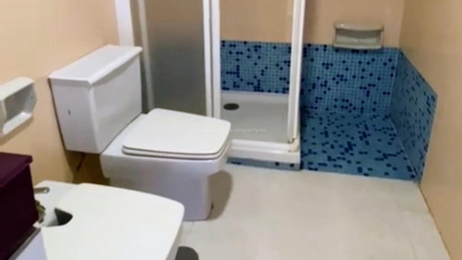 Apartment / flat in Benidorm Centro