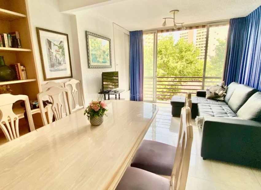 Apartment / flat in Benidorm Centro