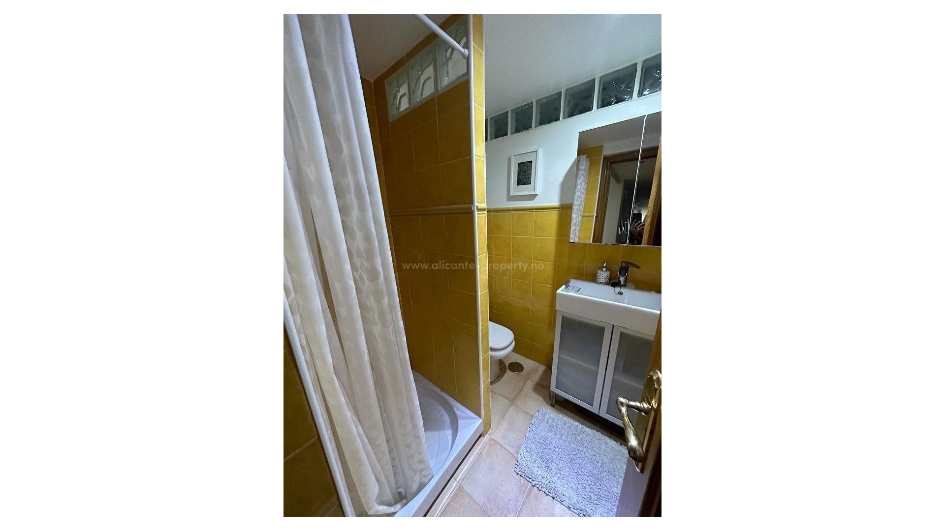 Apartment / flat in Benidorm Centro