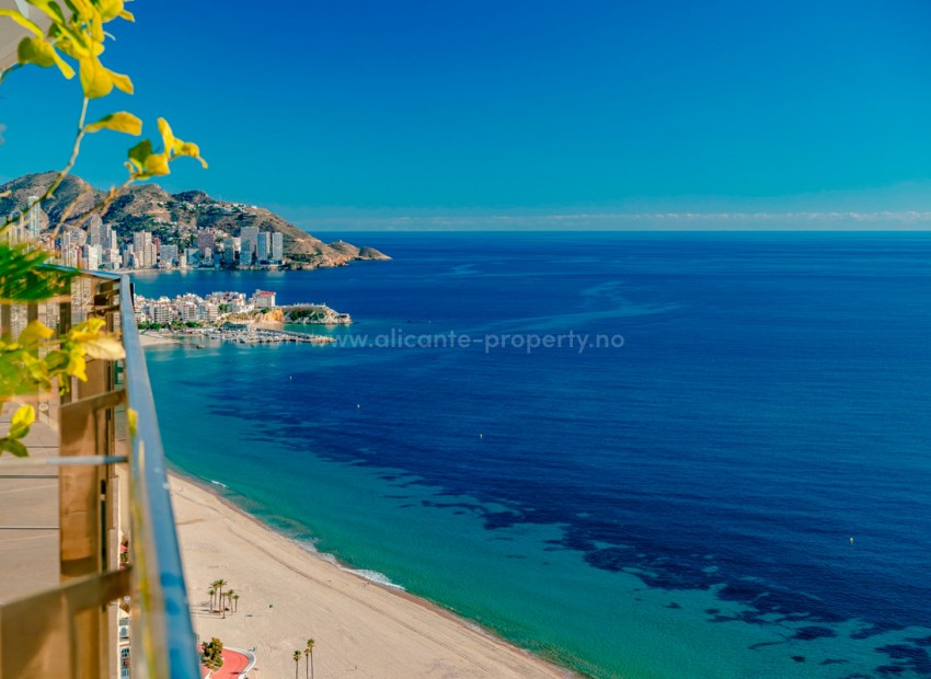 Apartment / flat in Benidorm Centro