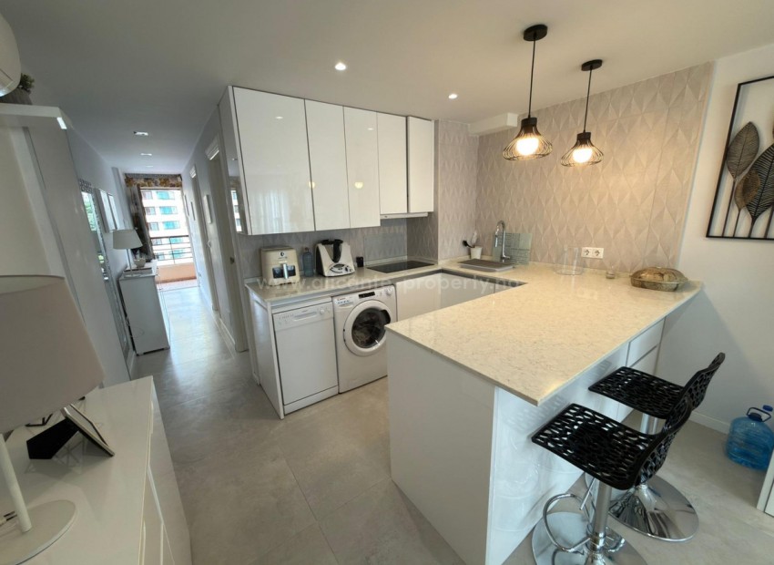 Apartment / flat in Benidorm Centro