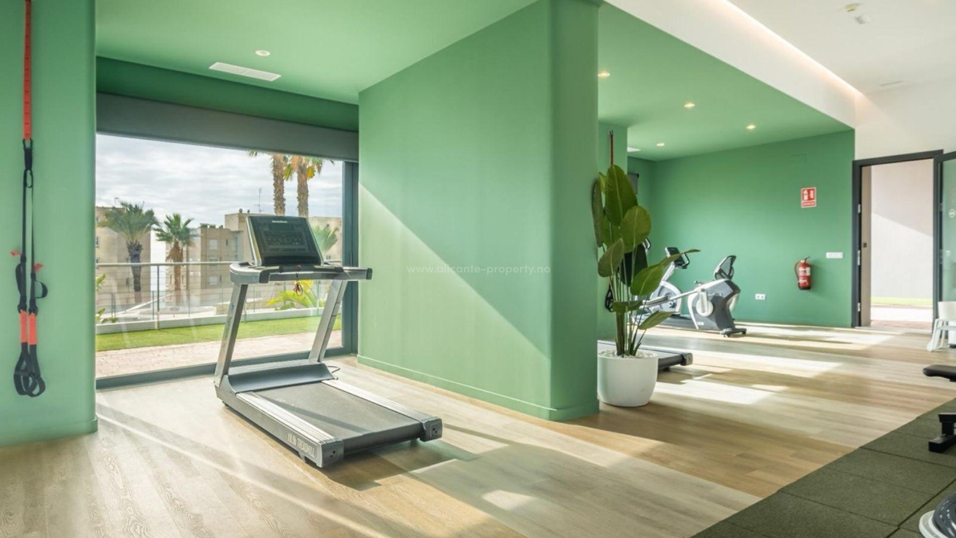 Apartment / flat in Benidorm Centro