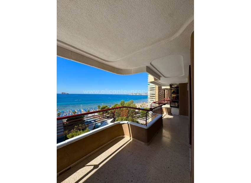 Apartment / flat in Benidorm Centro