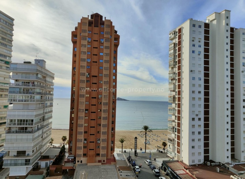 Apartment / flat in Benidorm Centro