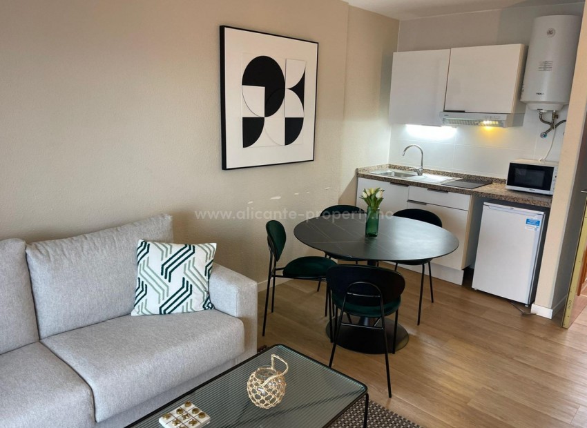 Apartment / flat in Benidorm Centro