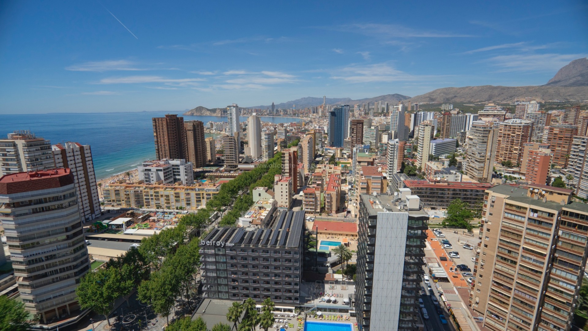 Apartment / flat in Benidorm