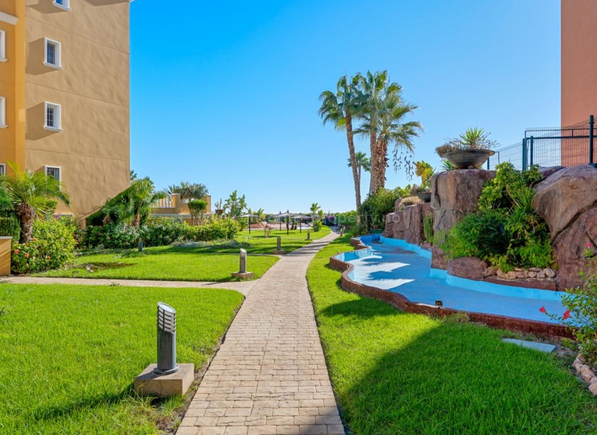 Apartment / flat in Cabo Roig