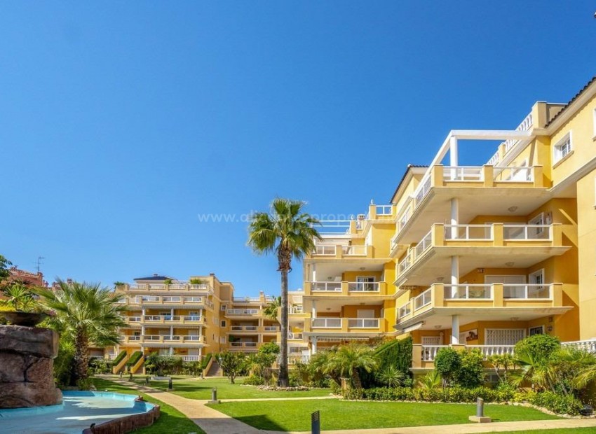 Apartment / flat in Cabo Roig