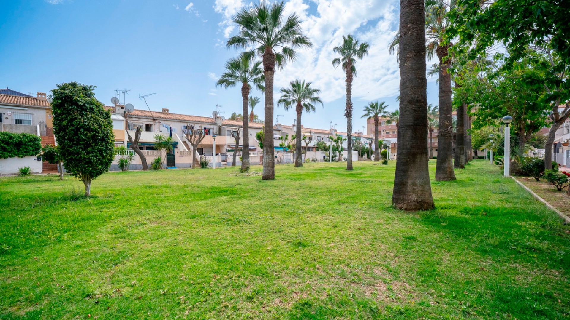 Apartment / flat in Cabo Roig