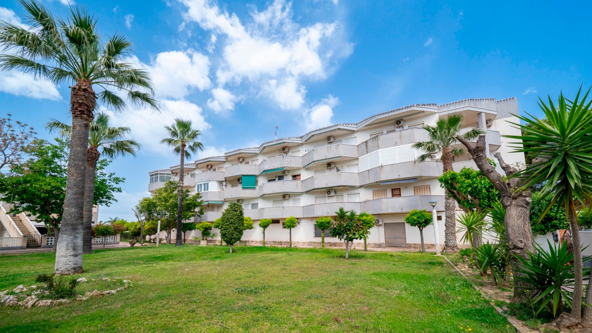 Apartment / flat in Cabo Roig