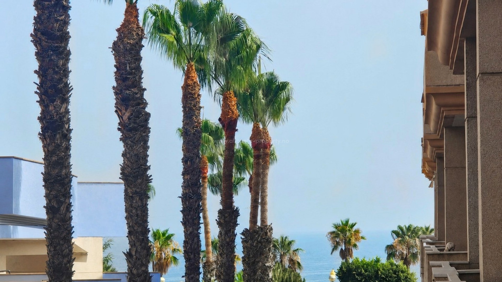 Apartment / flat in Cabo Roig