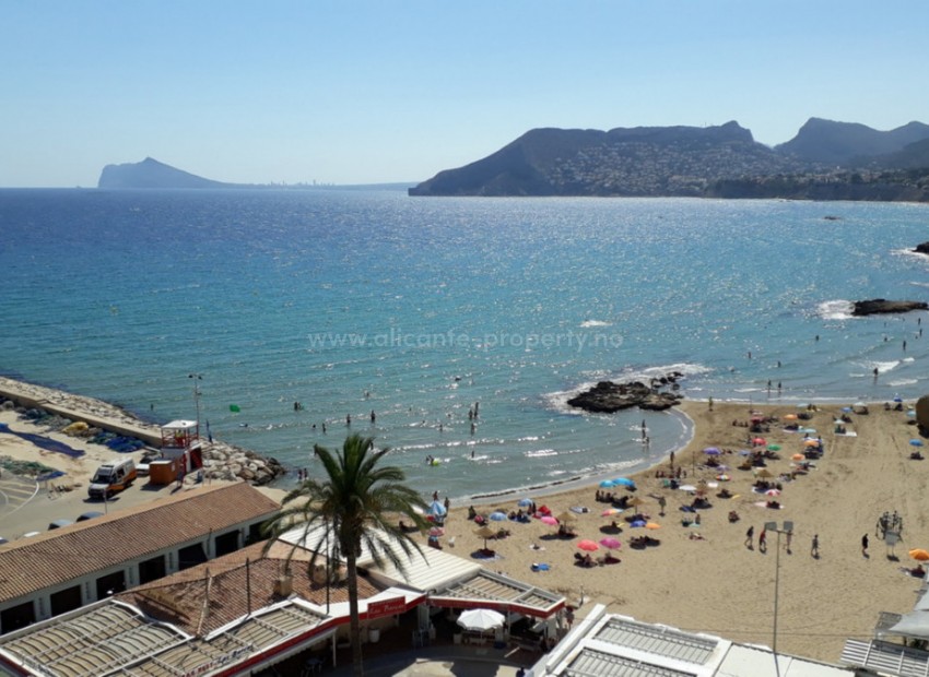 Apartment / flat in Calpe Centro