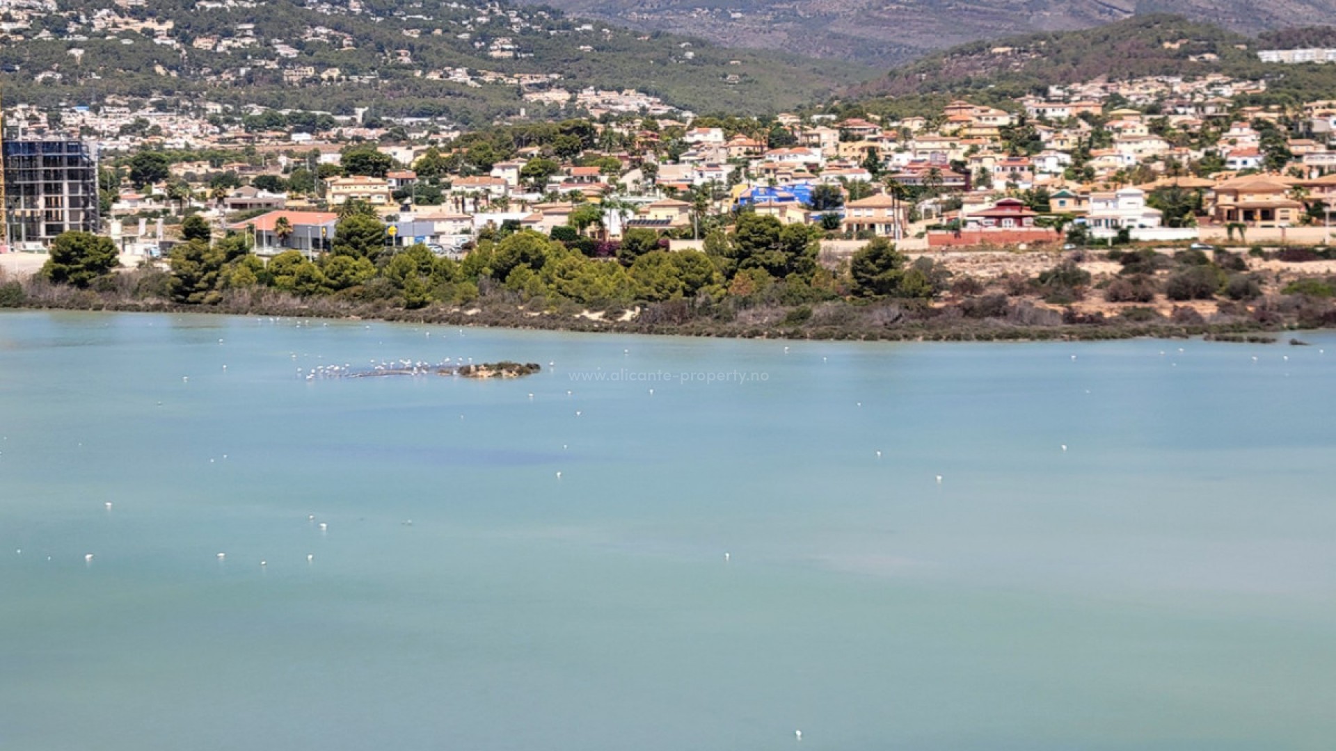 Apartment / flat in Calpe Centro