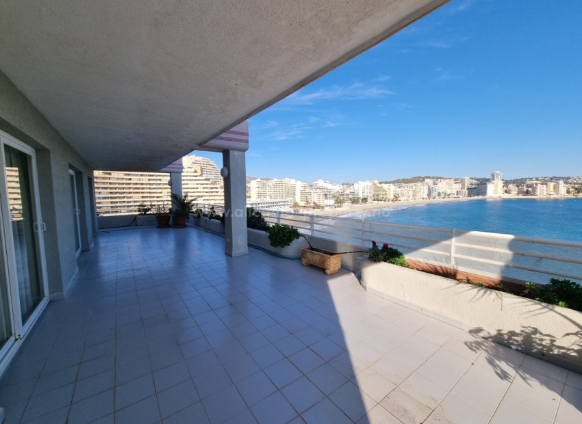 Apartment / flat in Calpe Centro
