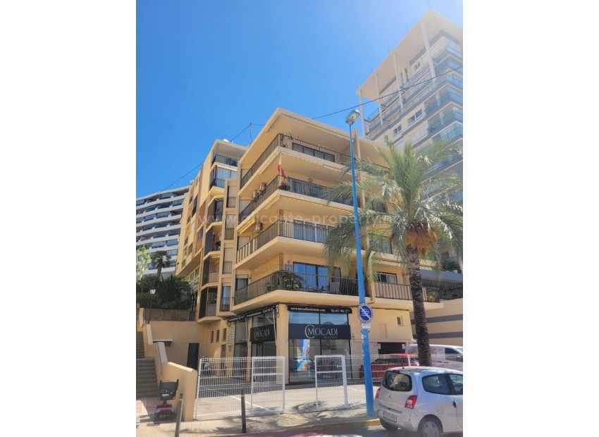 Apartment / flat in Calpe Centro