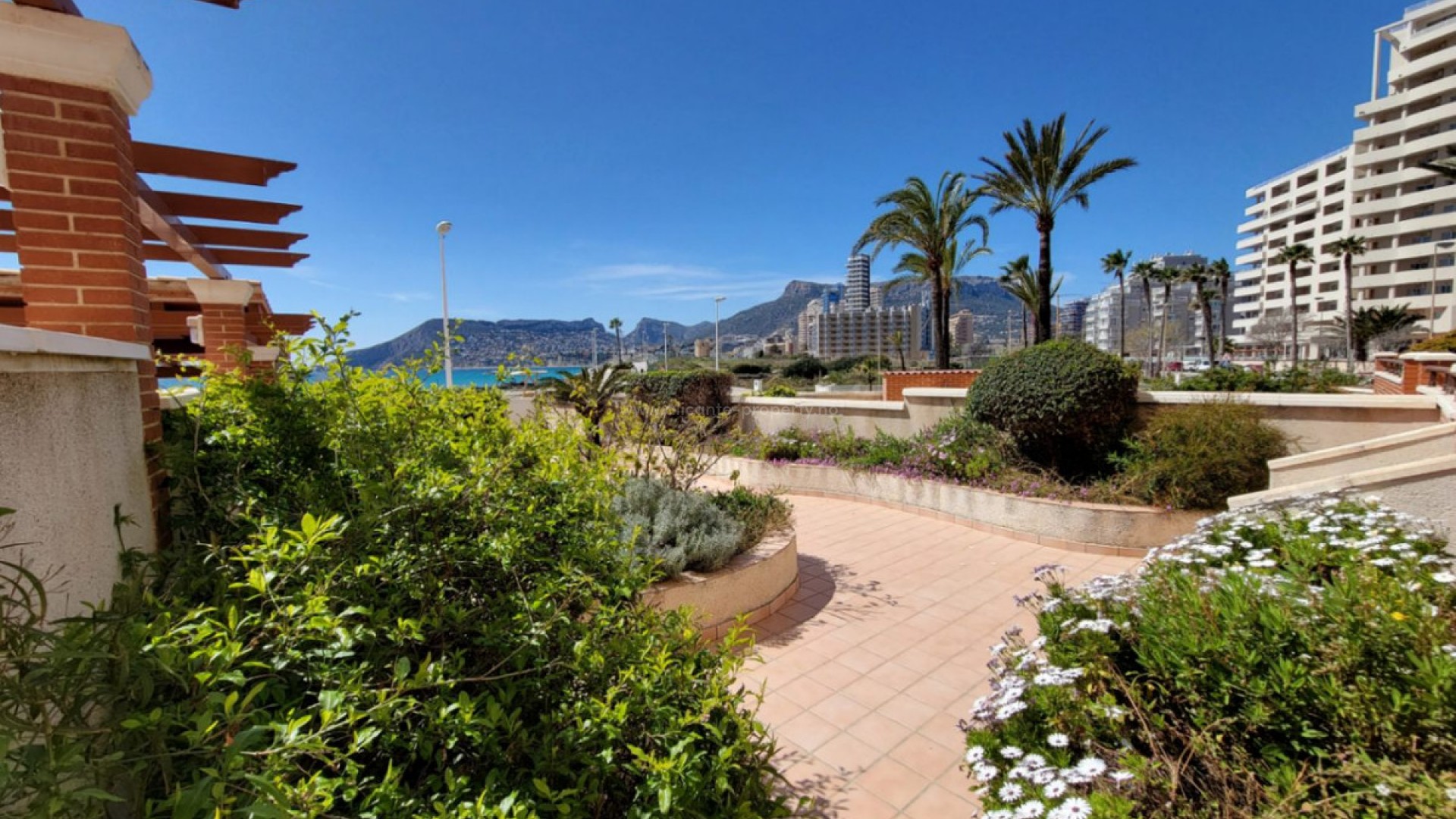 Apartment / flat in Calpe Centro