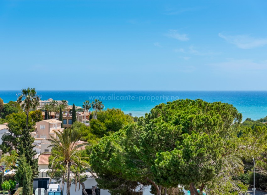 Apartment / flat in Campoamor