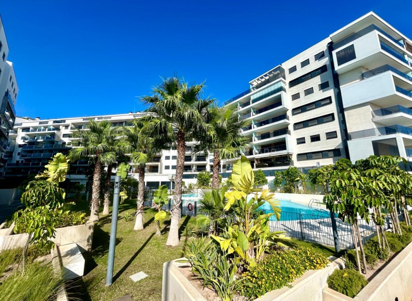 Apartment / flat in Campoamor