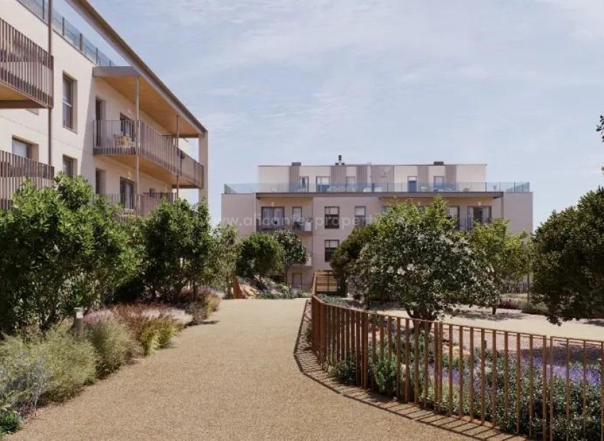 Apartment / flat in Campolivar