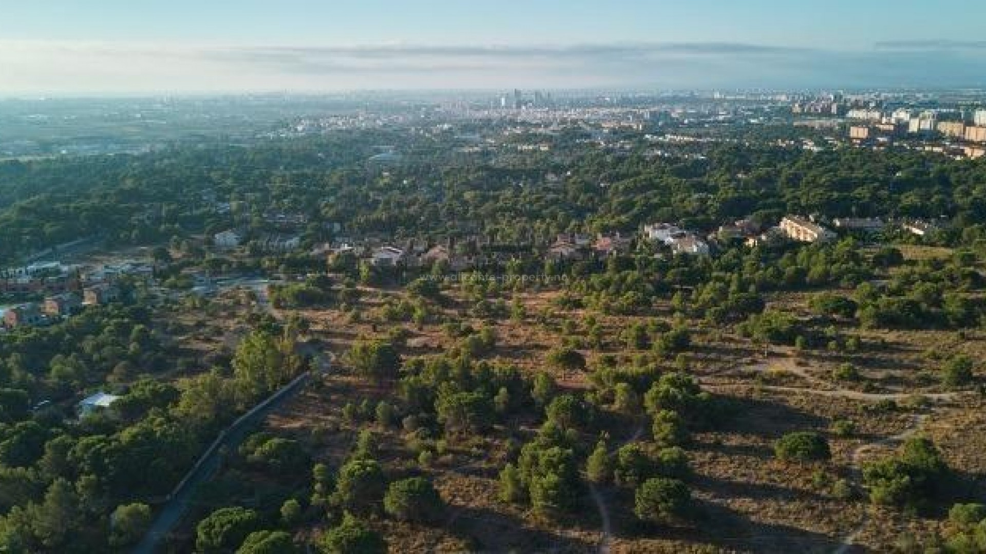 Apartment / flat in Campolivar