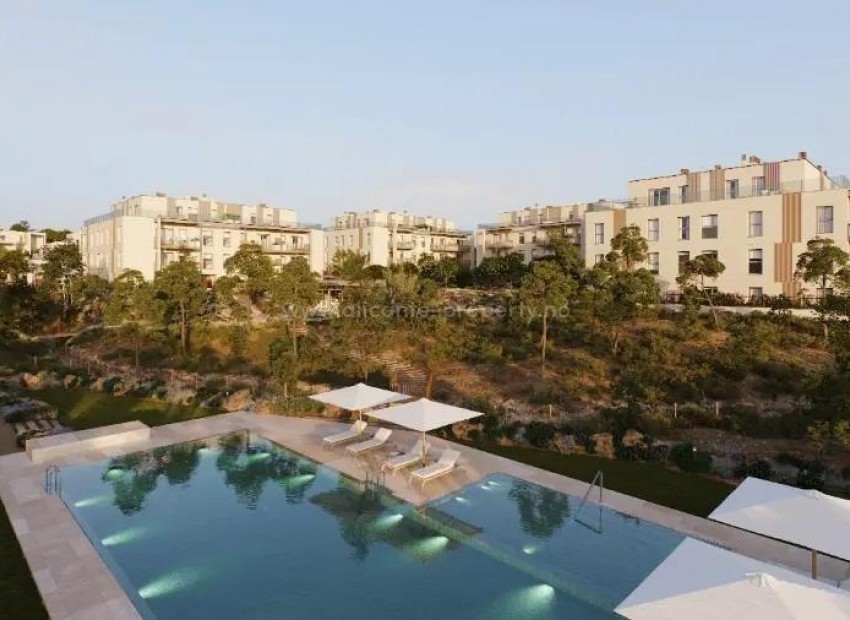 Apartment / flat in Campolivar