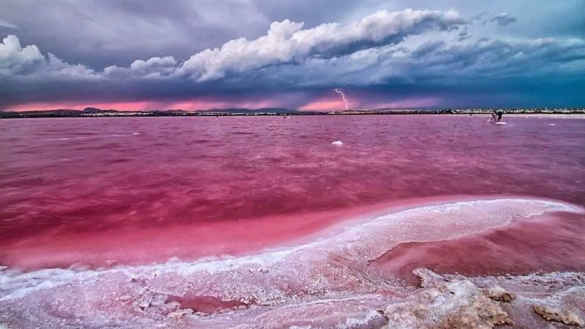 Apartment / flat in Center