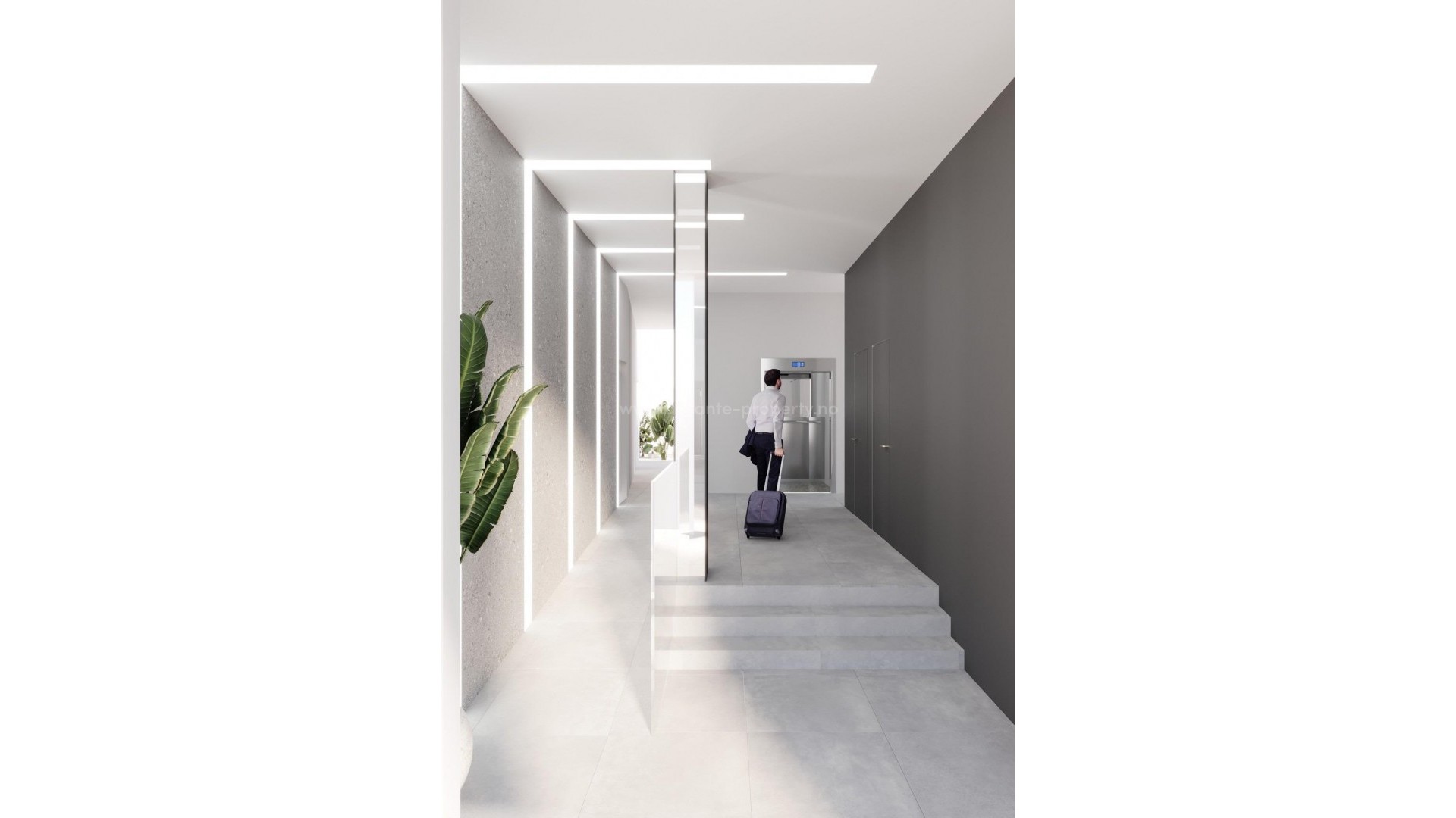 Apartment / flat in Center