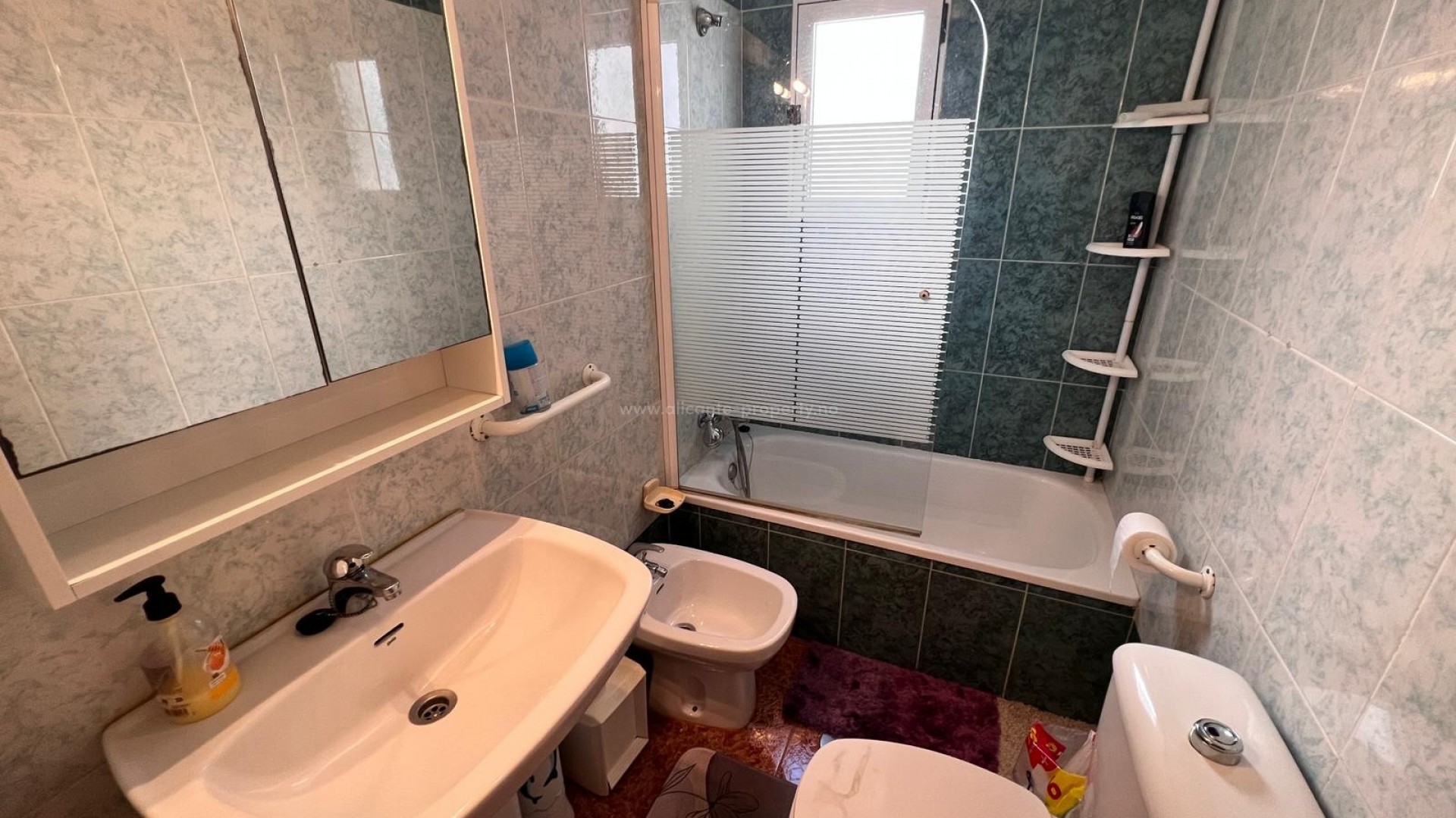 Apartment / flat in Center