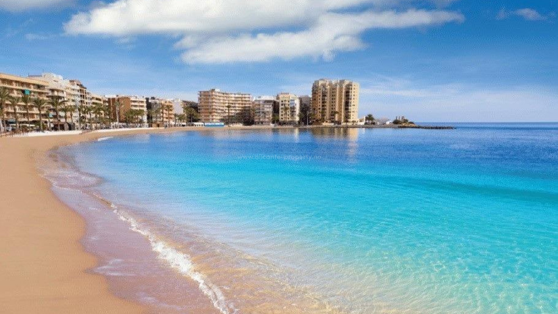 Apartment / flat in Center