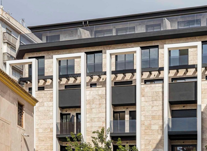 Apartment / flat in Centro