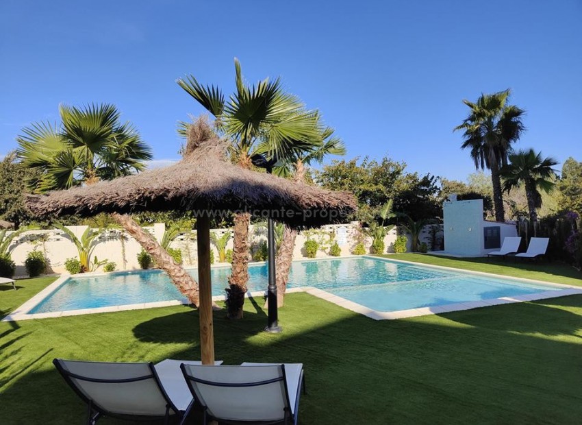 Apartment / flat in Denia Centro