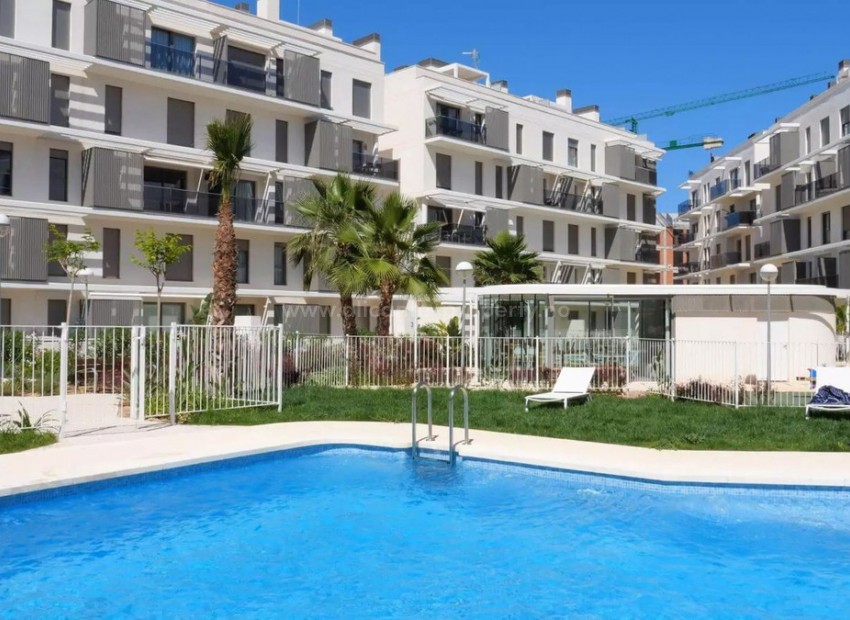 Apartment / flat in Denia Centro