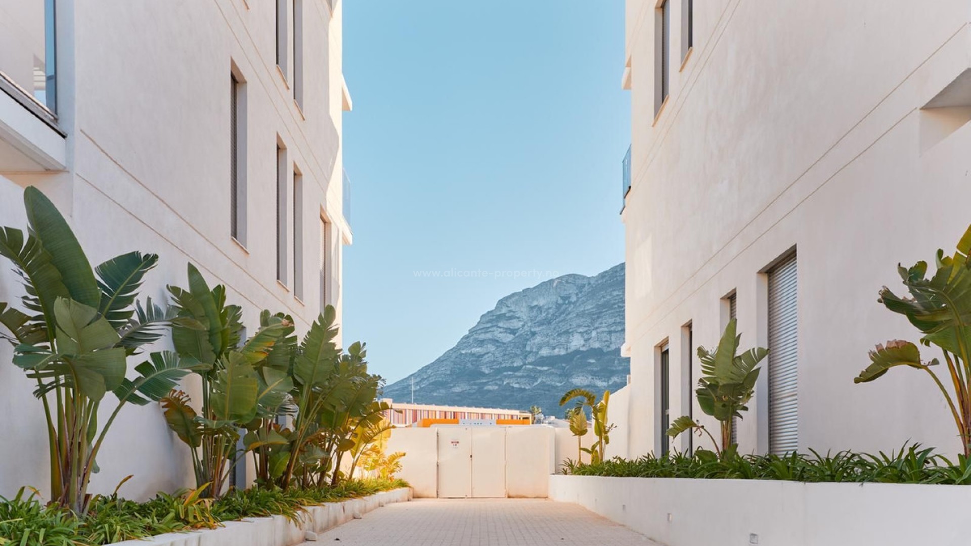 Apartment / flat in Denia Centro