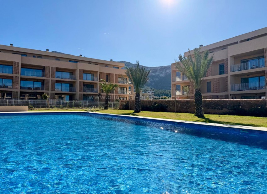 Apartment / flat in Denia Centro