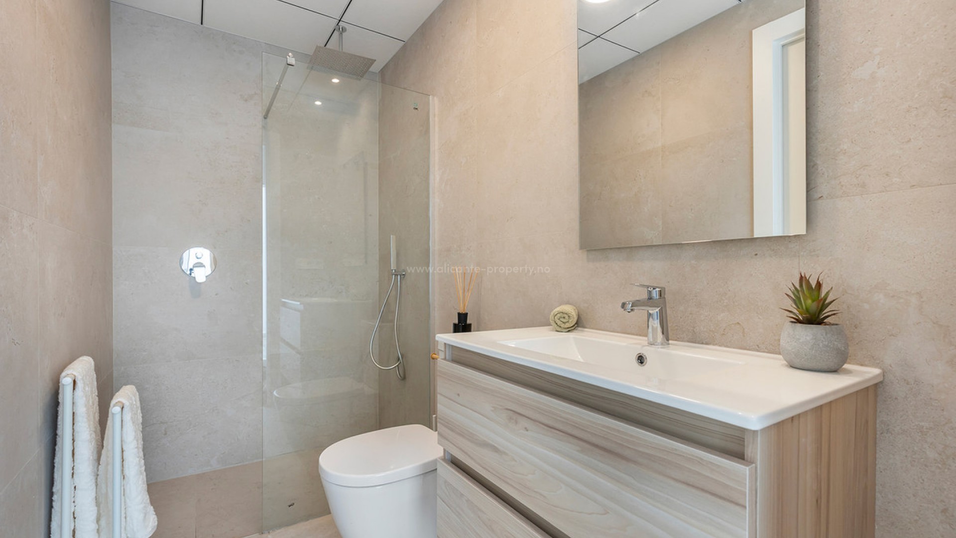 Apartment / flat in Dolores Centro