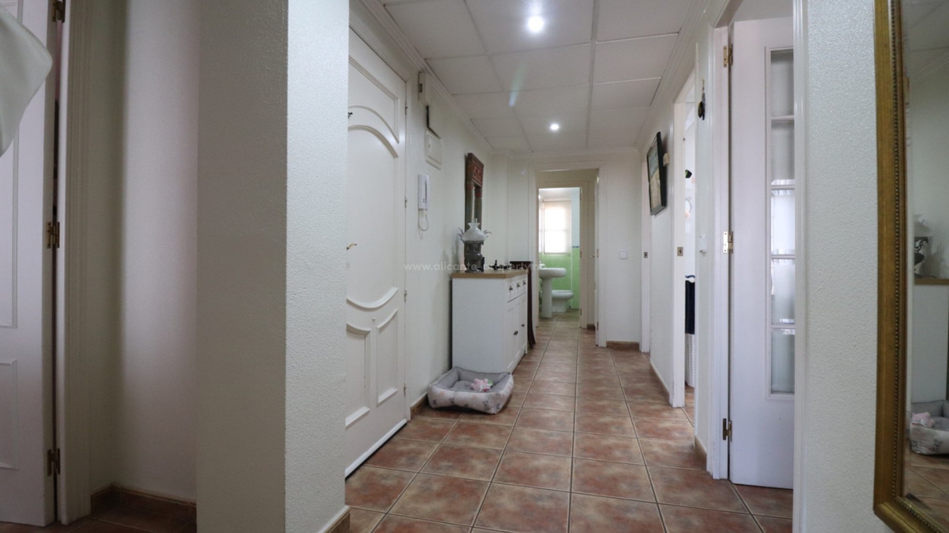 Apartment / flat in Dolores Centro