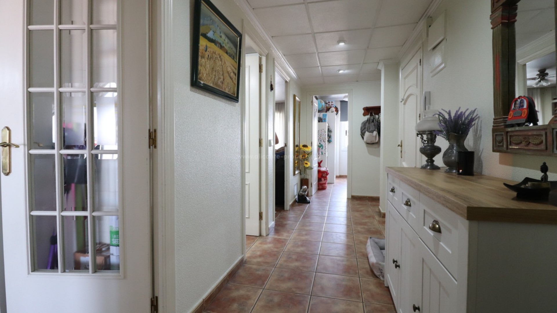 Apartment / flat in Dolores Centro