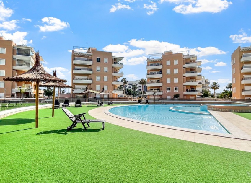 Apartment / flat in El Raso
