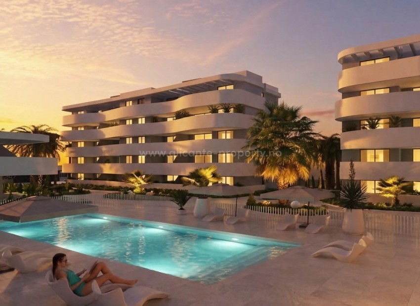 Apartment / flat in El Raso