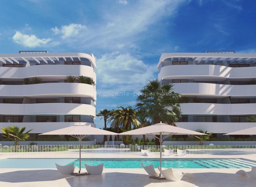 Apartment / flat in El Raso