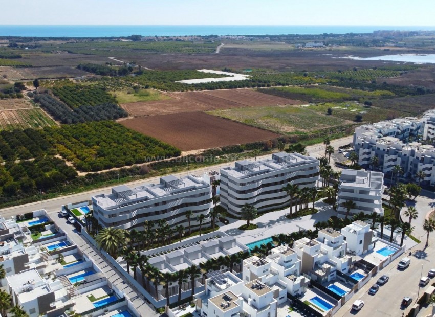 Apartment / flat in El Raso