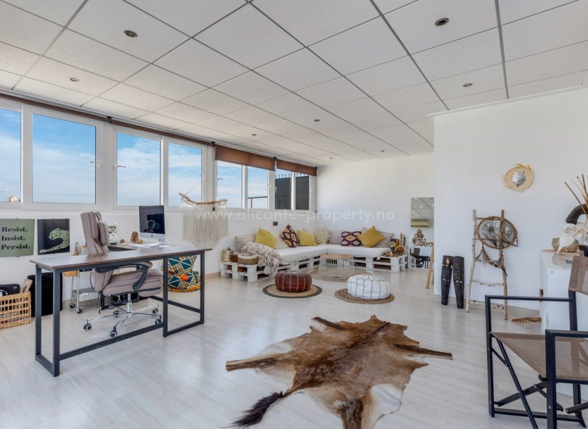 Apartment / flat in Elche Centro