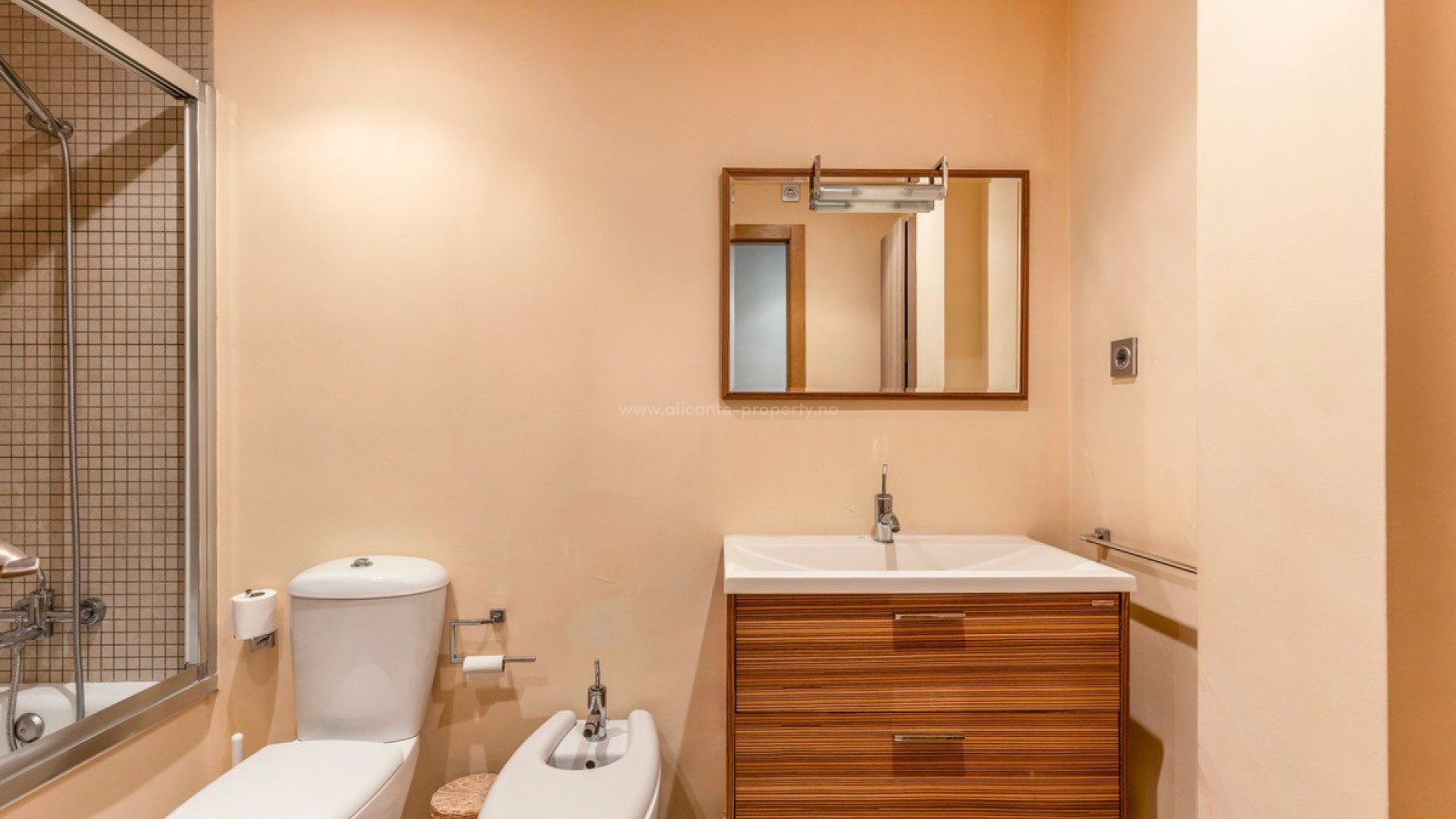 Apartment / flat in Elche Centro