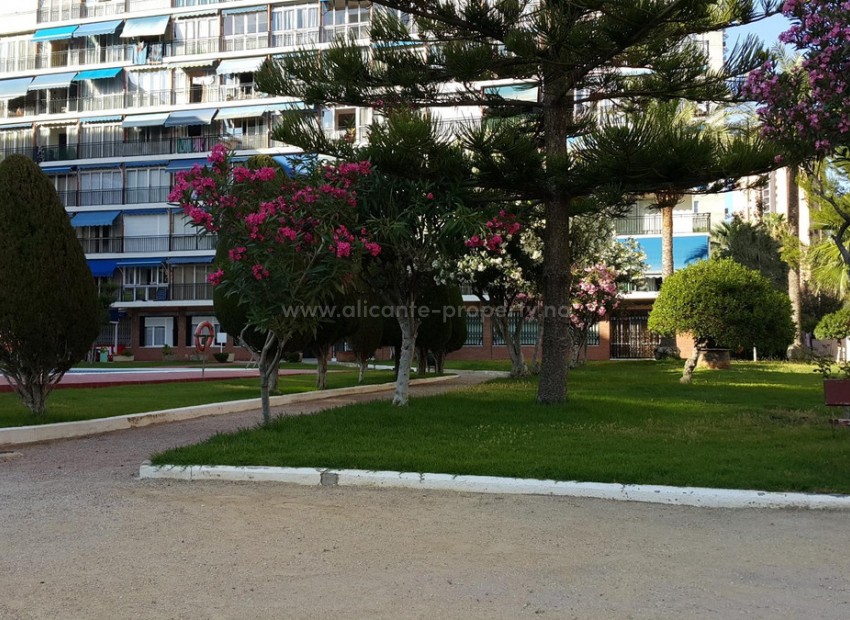 Apartment / flat in Finestrat