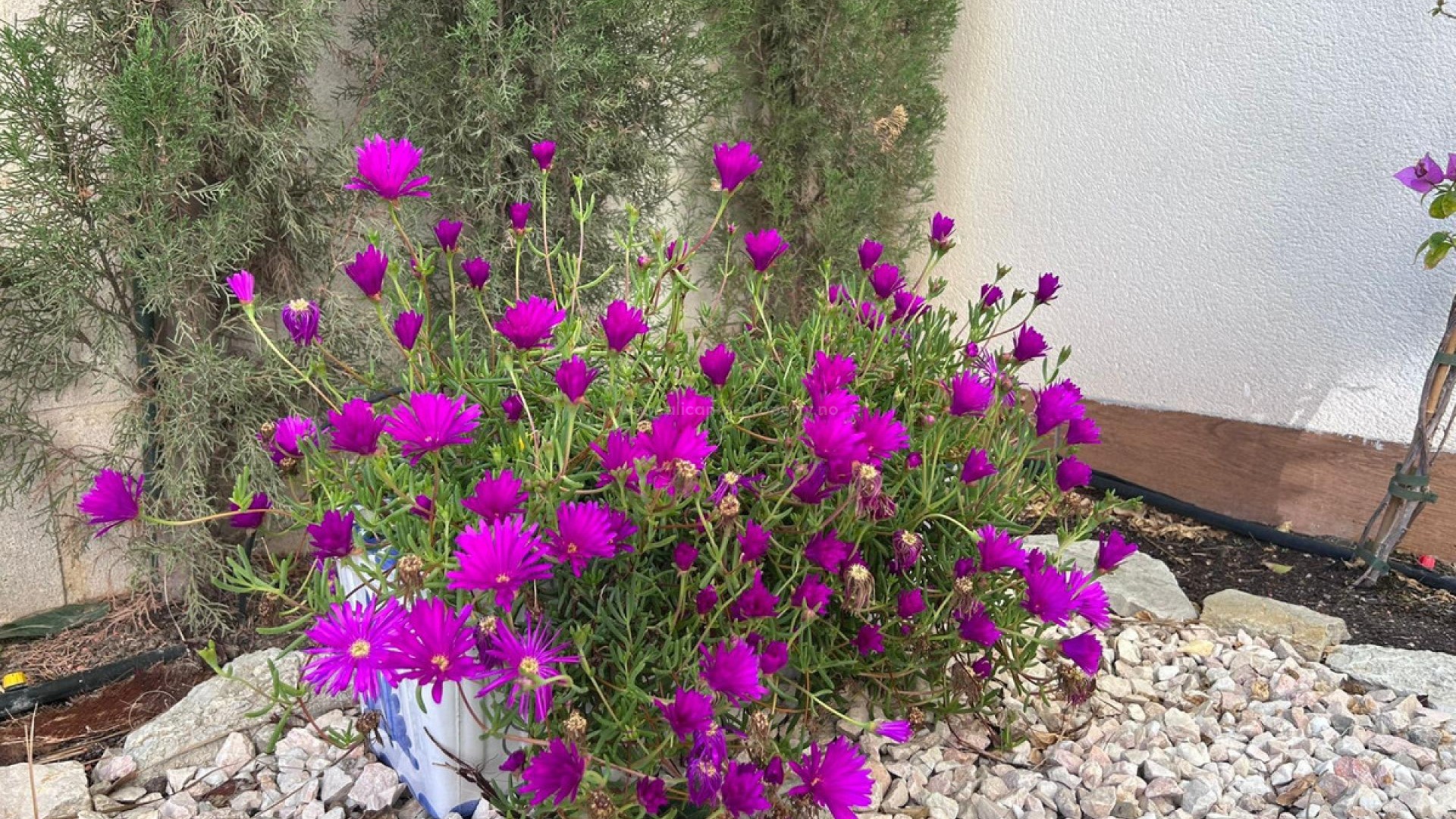 Apartment / flat in Finestrat