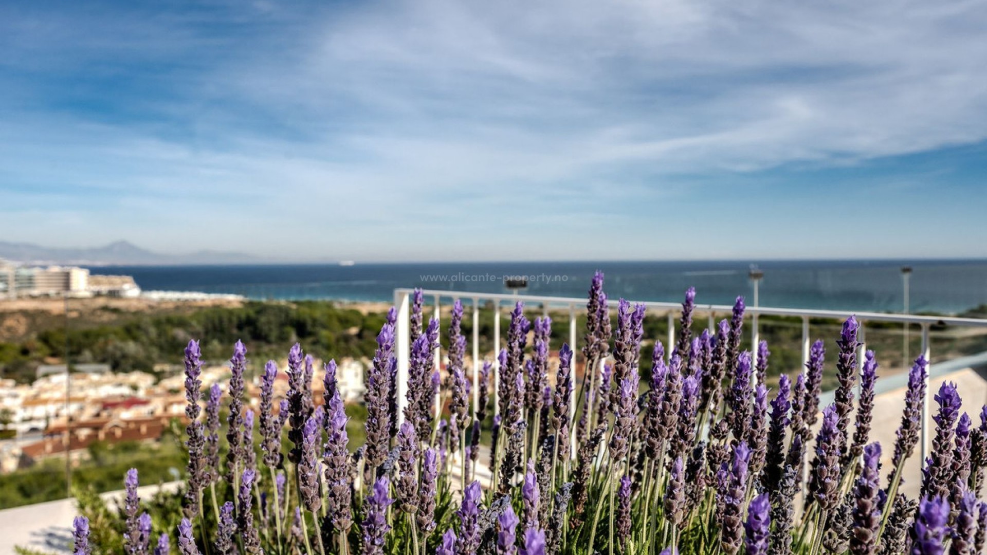 Apartment / flat in Gran Alacant